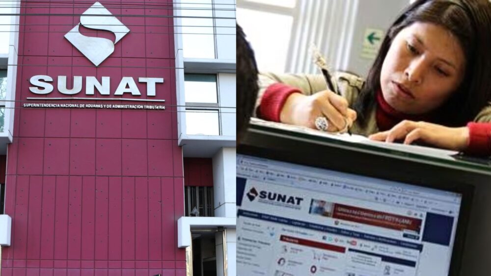 ¿Cuál es el formulario 709 de la Sunat? - Formularios Perú